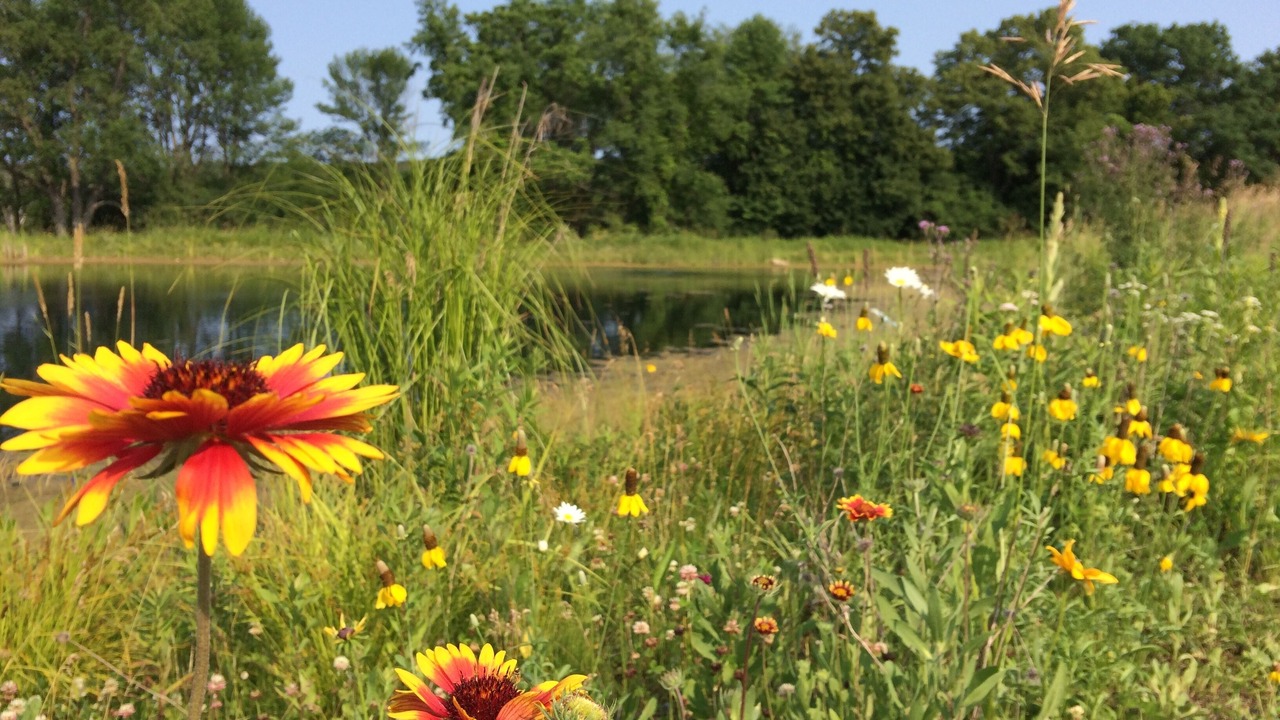 Photo of Outdoor in Ripon