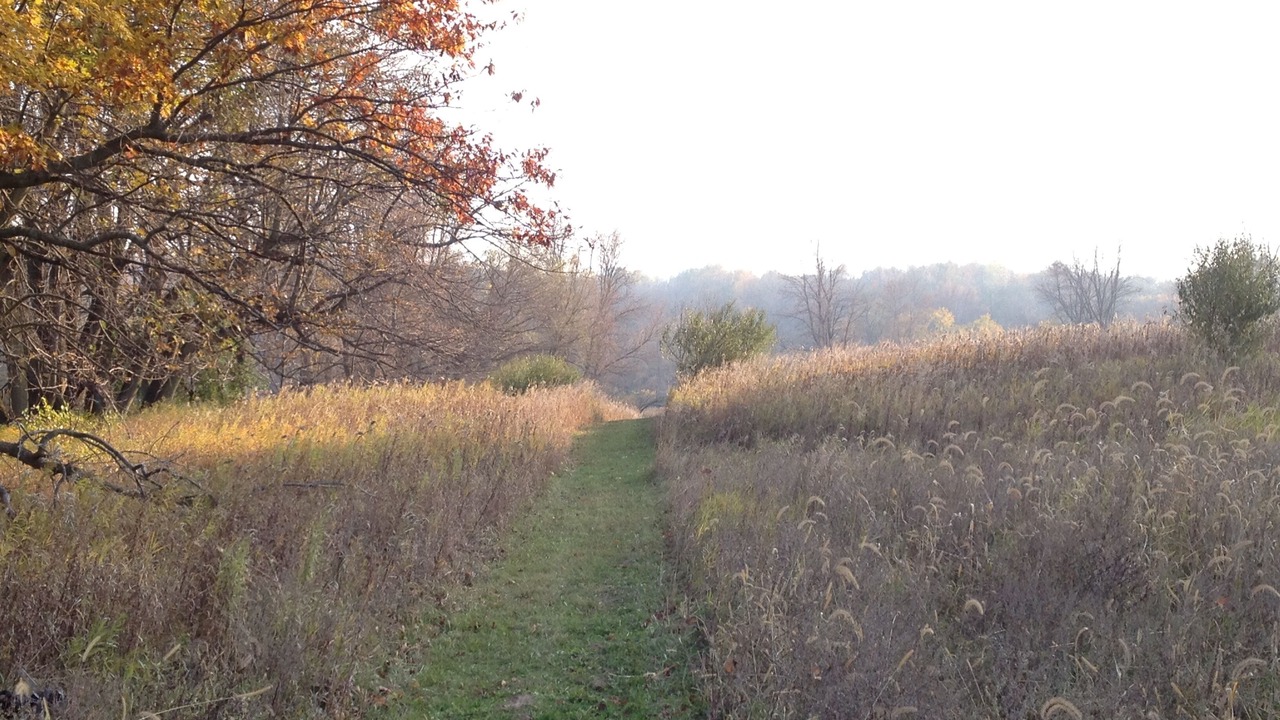 Photo of Outdoor in Ripon