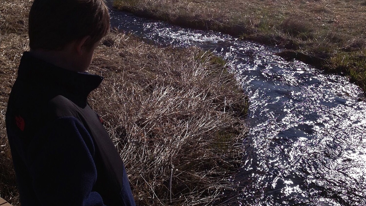 Photo of Others in Ripon