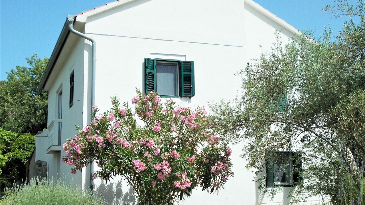 Photo of Outdoor in Lukoran
