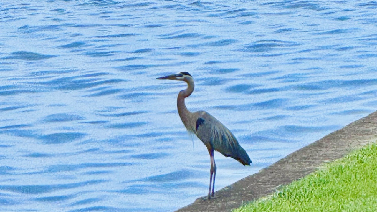 Photo of Others in Milam