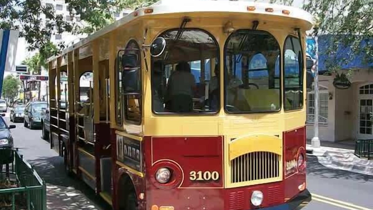 Photo of Others in Flamingo Parks