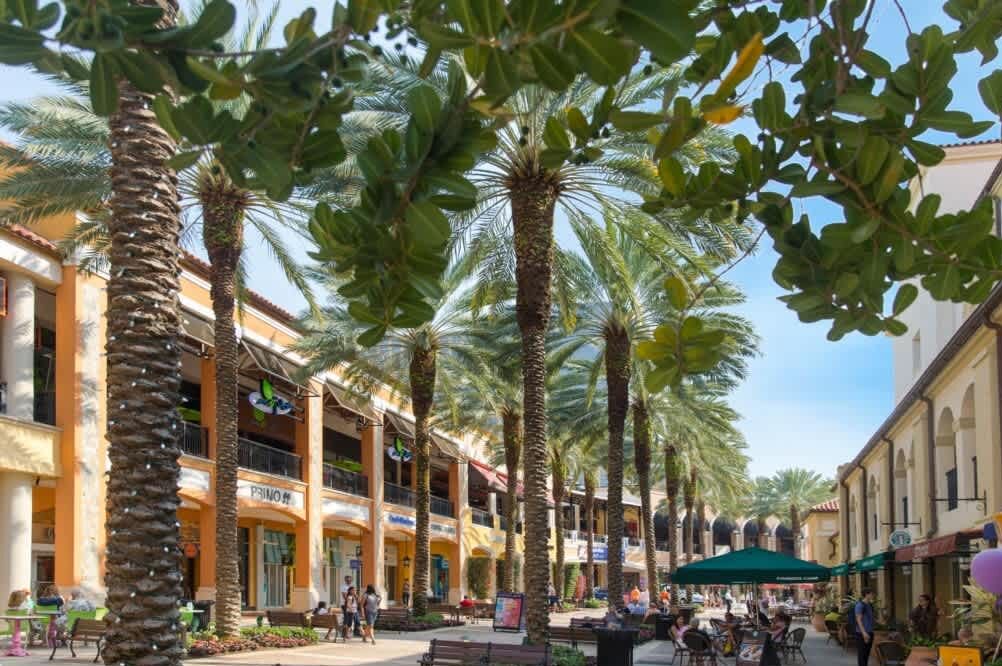 Photo of Others in Flamingo Parks