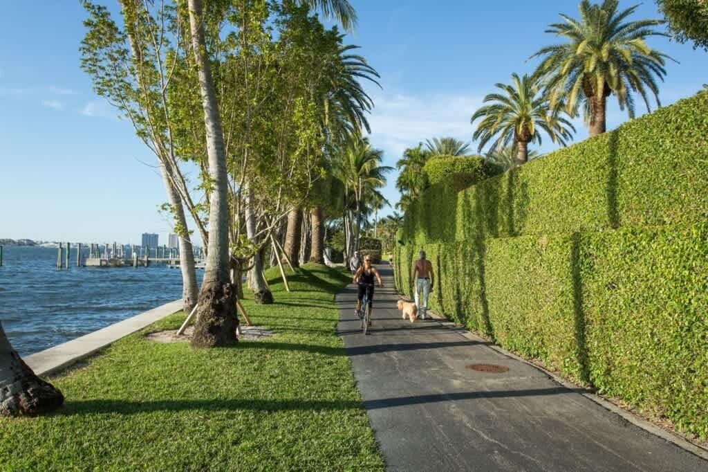 Photo of Outdoor in Flamingo Parks