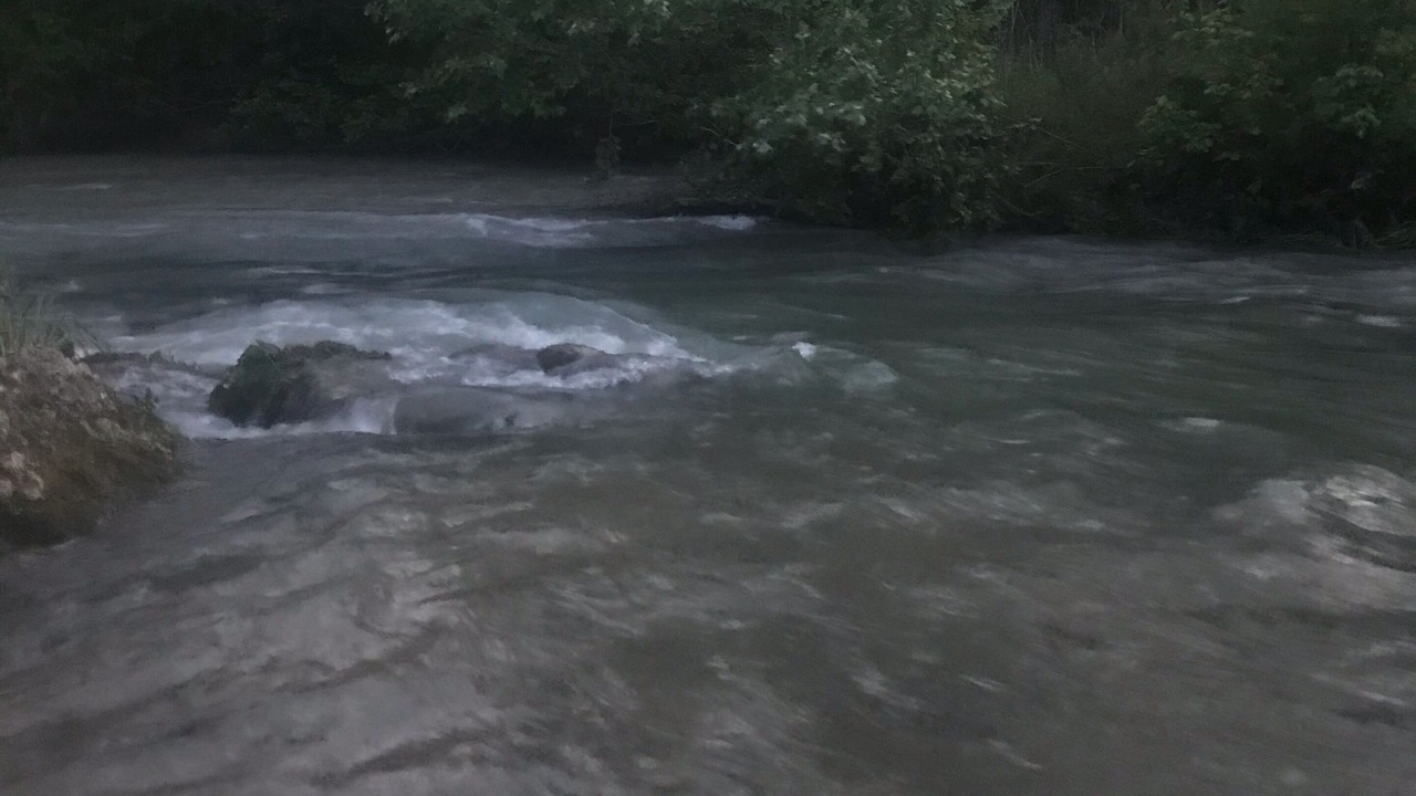 Photo of Others in Martindale