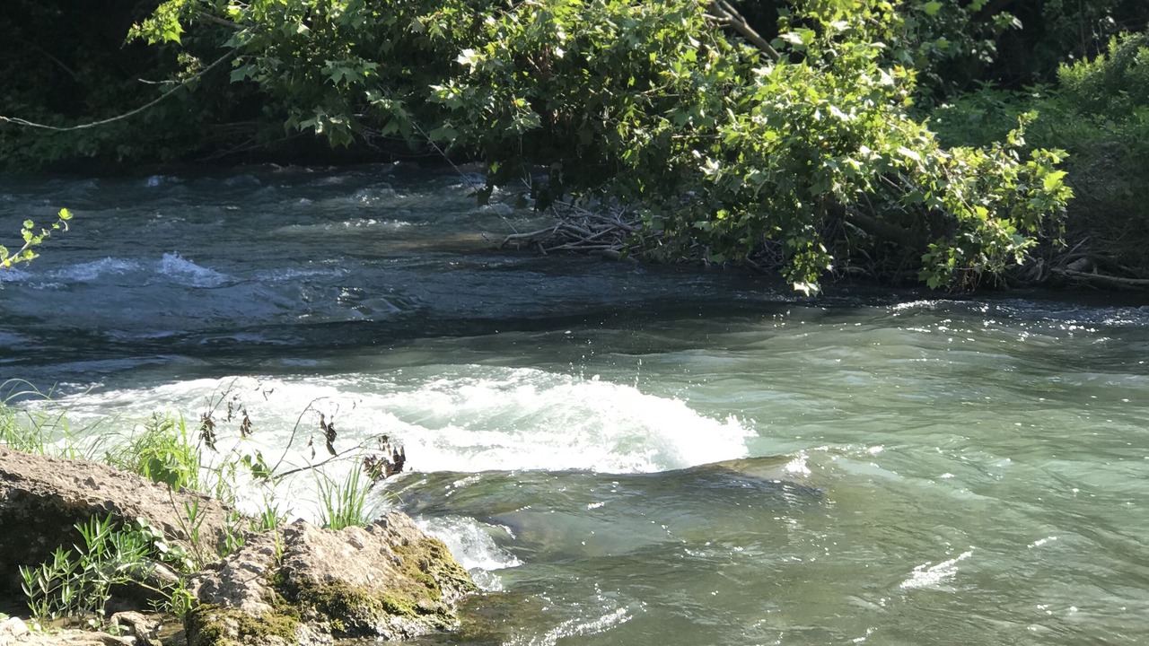 Photo of Others in Martindale