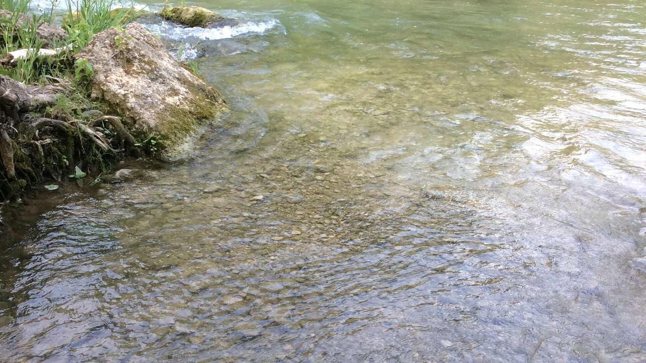 Photo of Outdoor in Martindale
