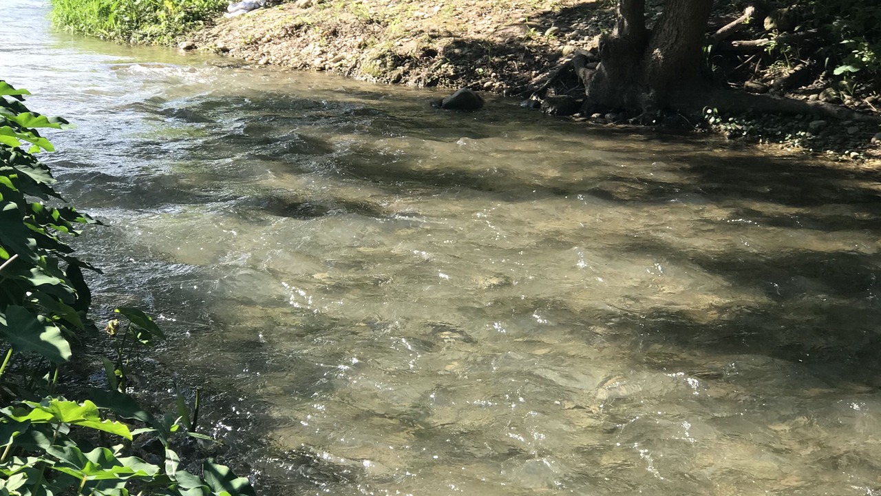 Photo of Outdoor in Martindale