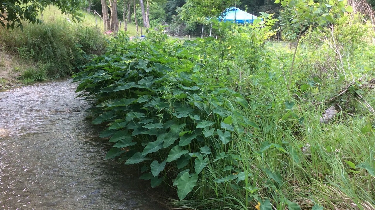 Photo of Outdoor in Martindale