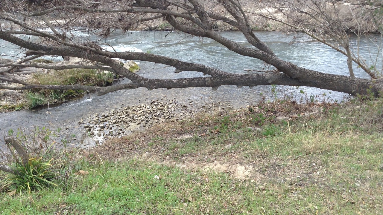 Photo of Others in Martindale