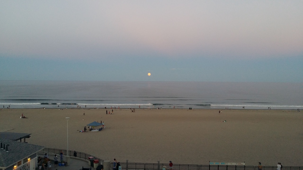 Photo of Others in Hampton