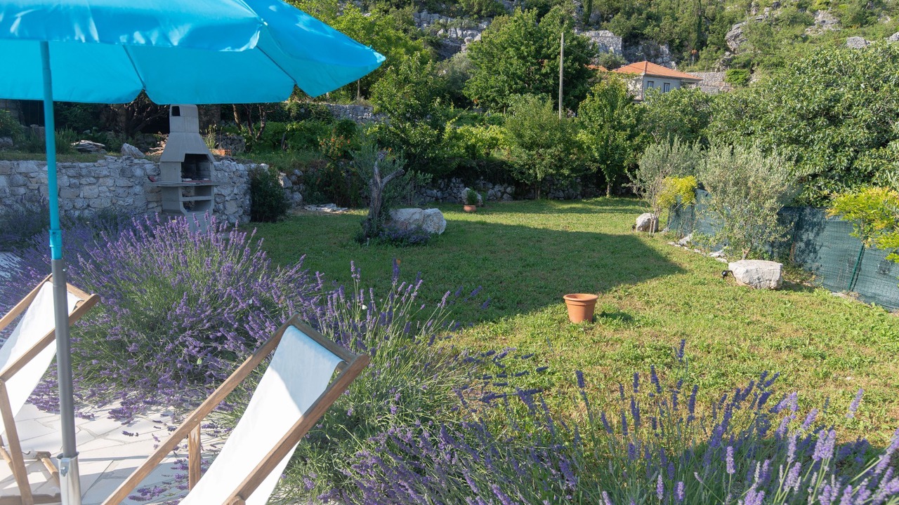 Photo of Outdoor in Konavle