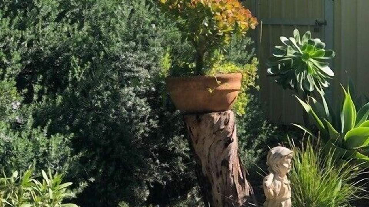 Photo of Outdoor in Ventnor