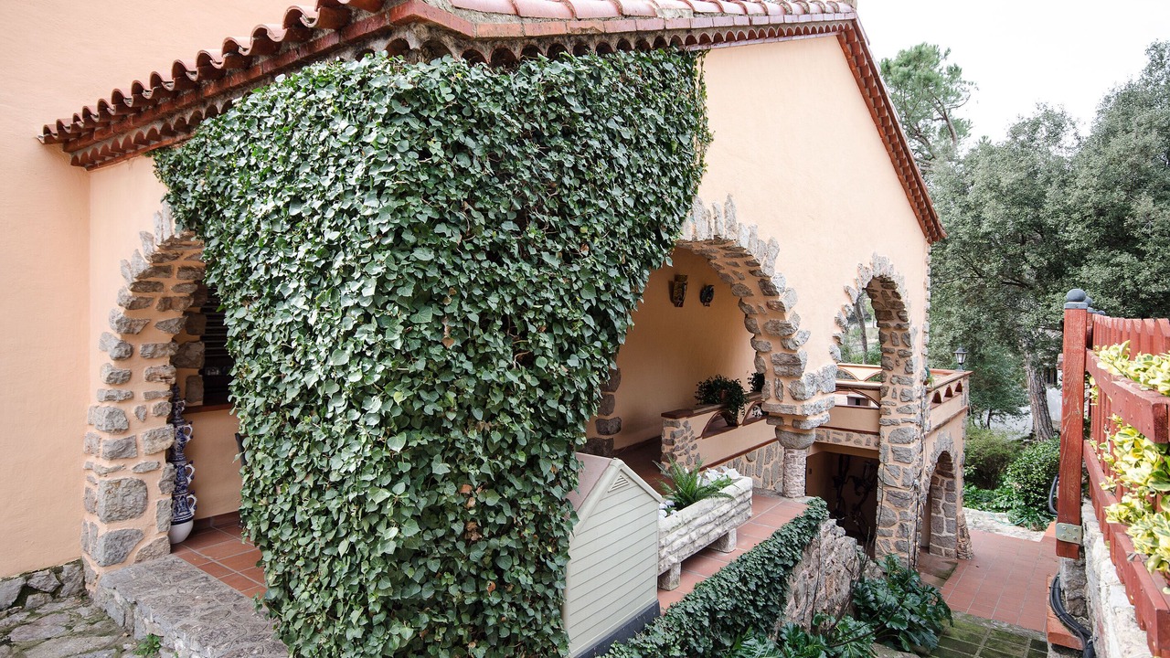 Photo of Outdoor in Vacarisses