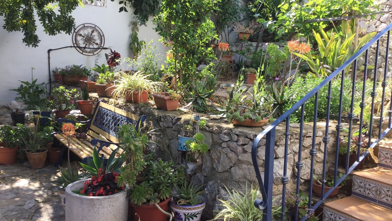 Photo of Outdoor in Tormos