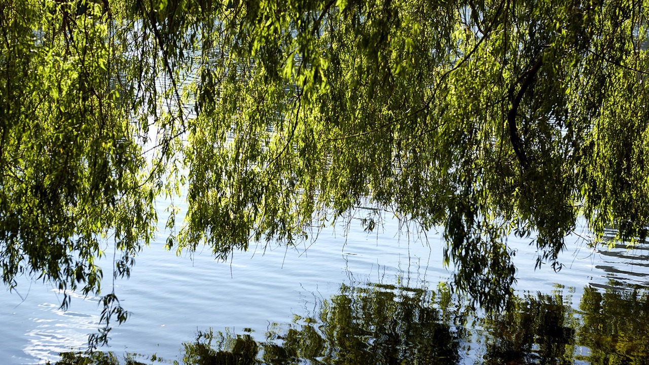 Photo of Outdoor in København V