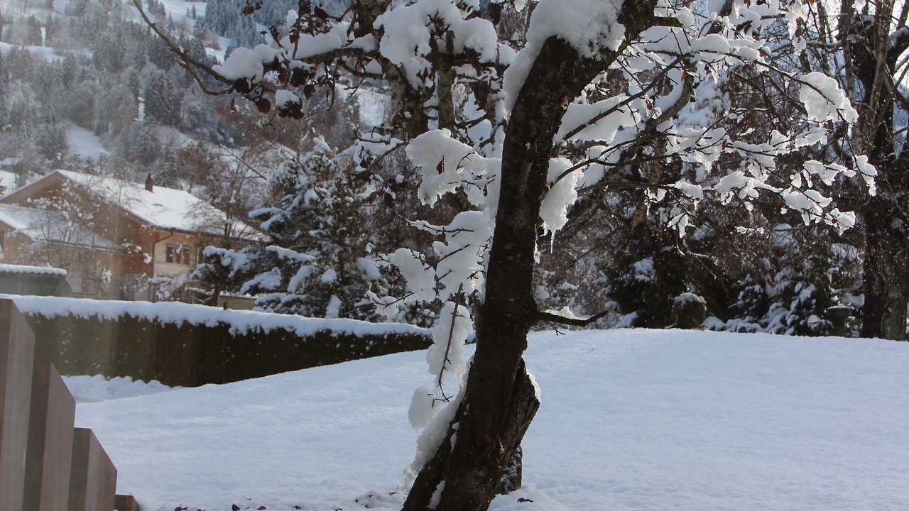 Photo of Outdoor in Latterbach