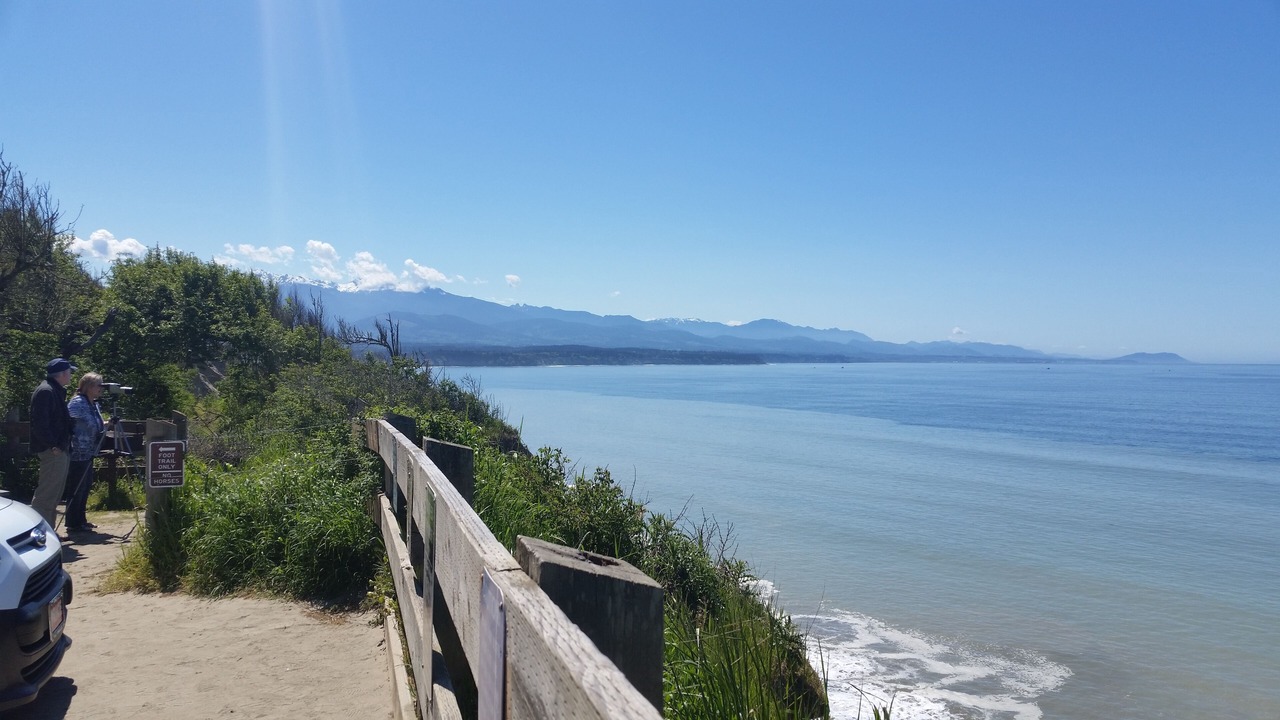 Photo of Others in Sequim