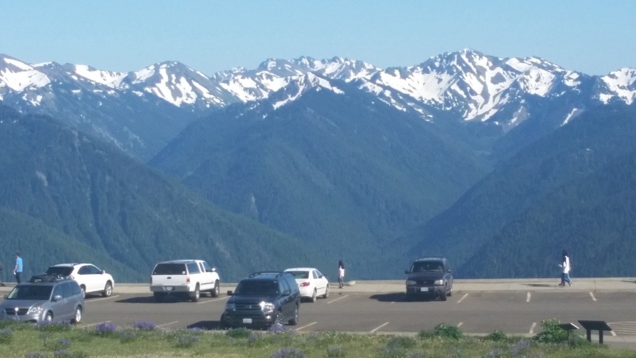 Photo of Others in Sequim