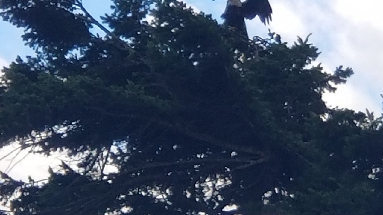 Photo of Others in Sequim