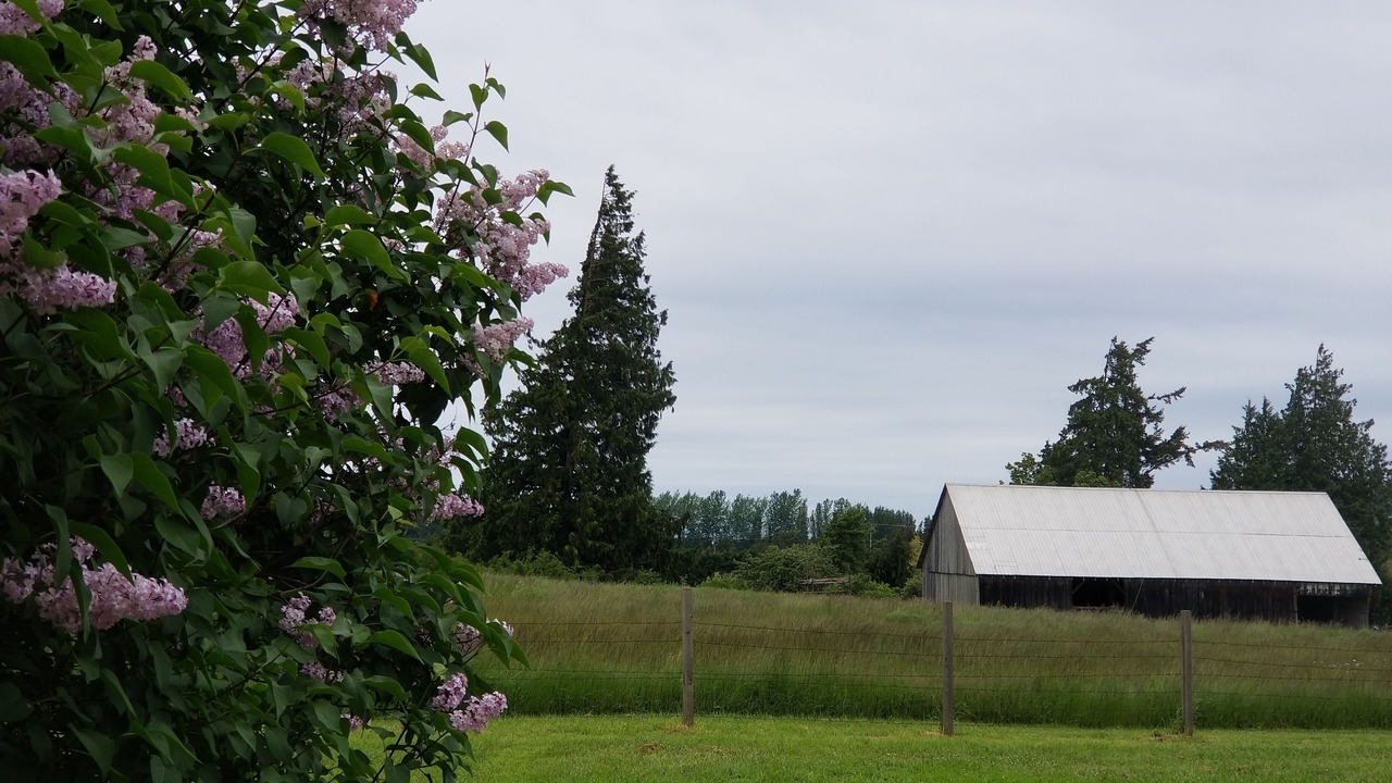 Photo of Others in Sequim
