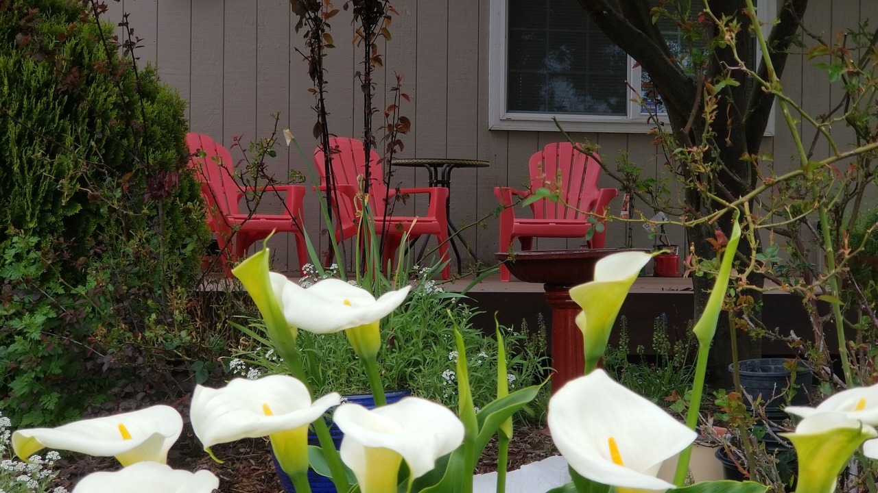 Photo of Outdoor in Sequim