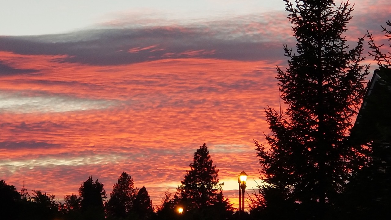 Photo of Outdoor in Sequim