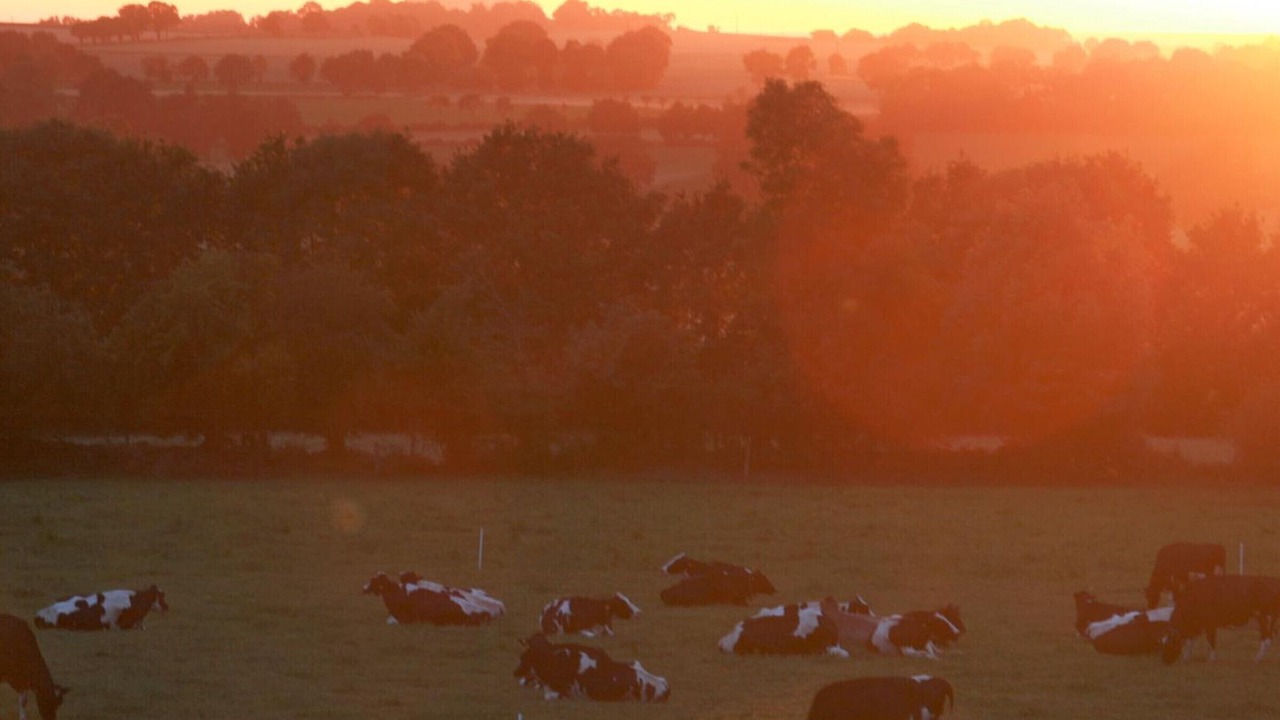 Photo of Others in Servon