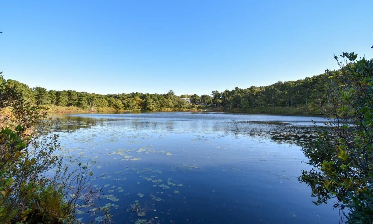Photo of Others in South Chatham