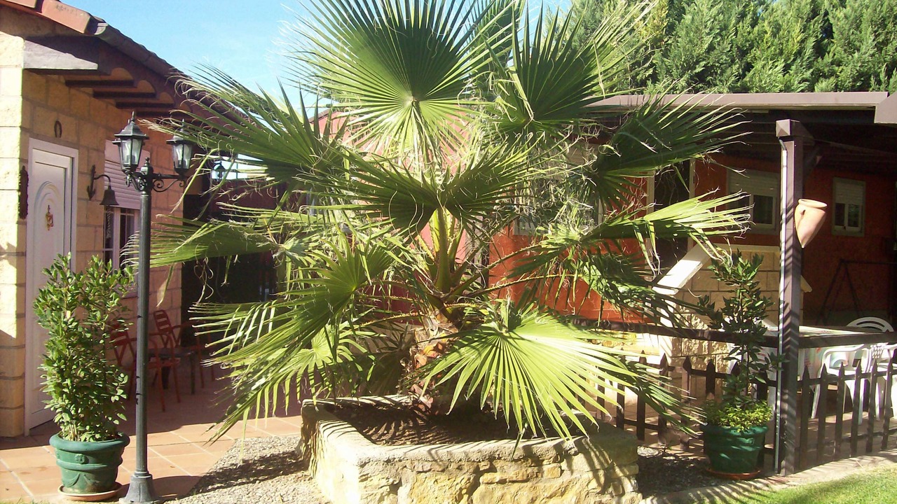 Photo of Outdoor in Fuenmayor