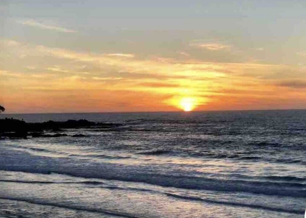 Photo of Others in Hatton Fields