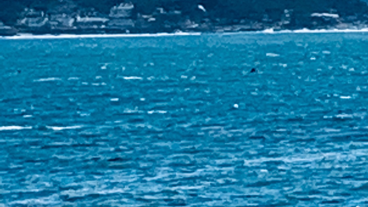 Photo of Others in Hatton Fields