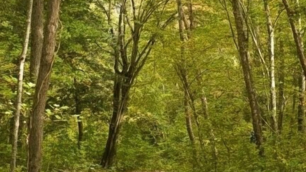 Photo of Outdoor in Acquinton