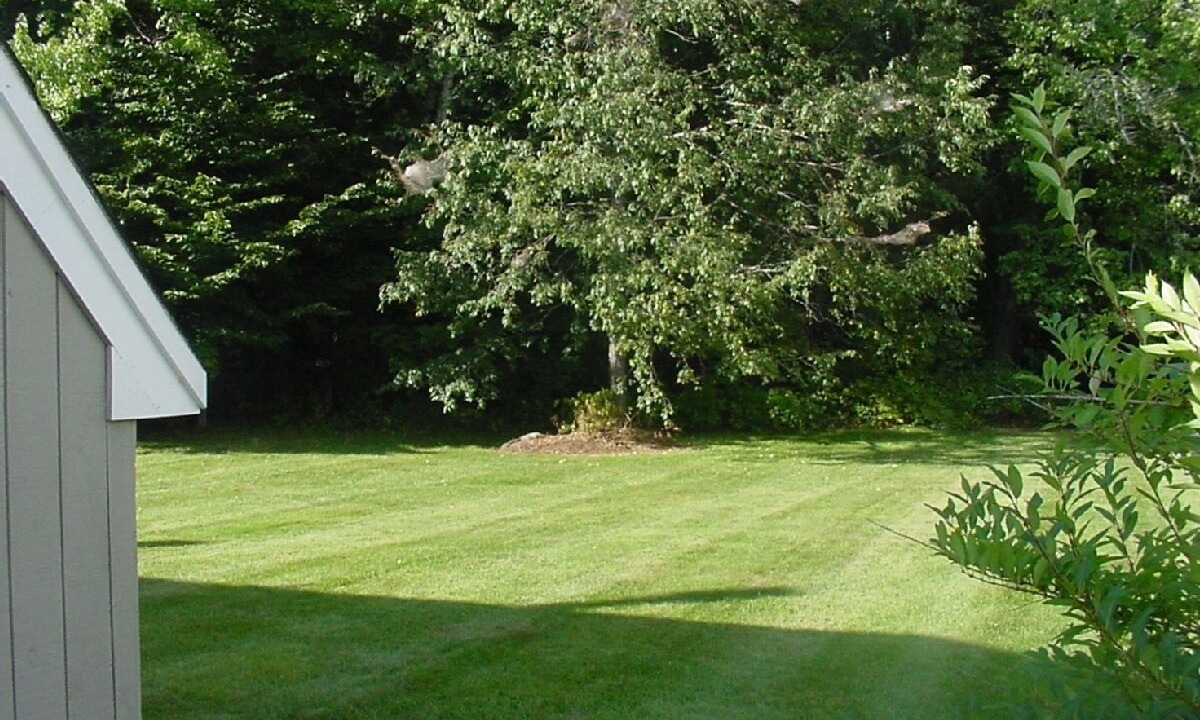 Photo of Others in North Woodstock