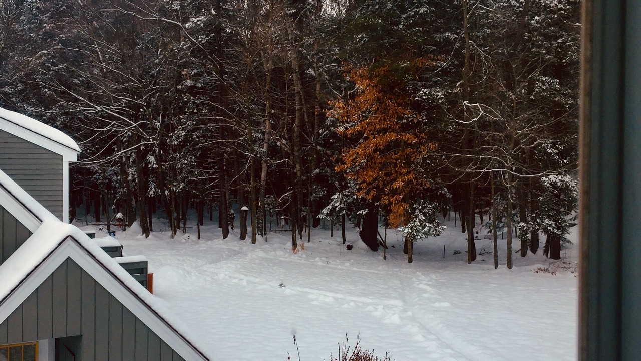 Photo of Others in North Woodstock