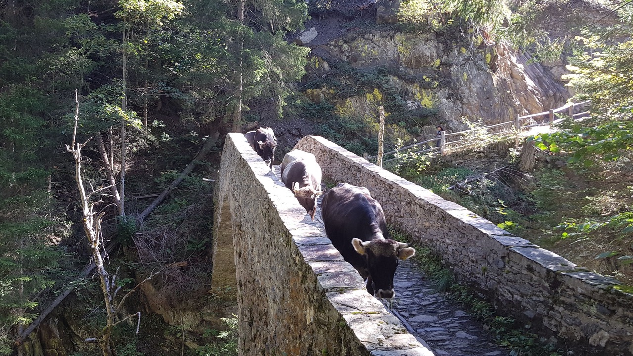 Photo of Outdoor in Grengiols