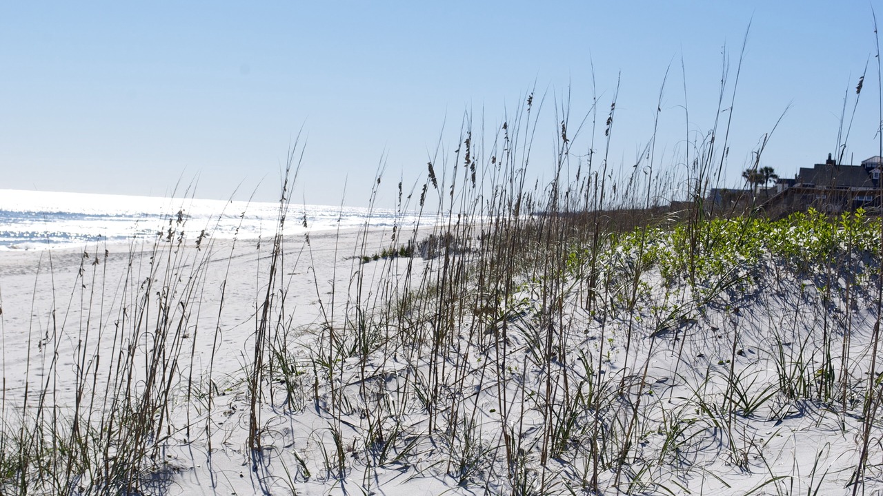 Photo of Others in Atlantic Shores