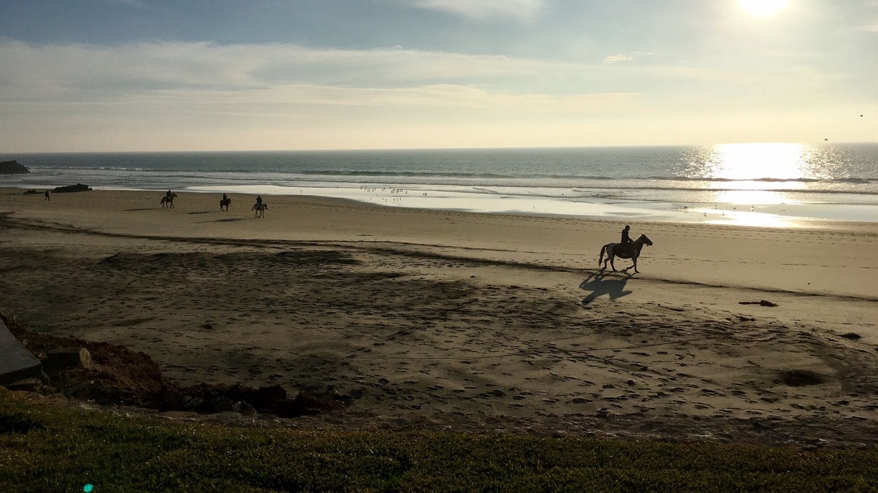 Photo of Others in La Paloma