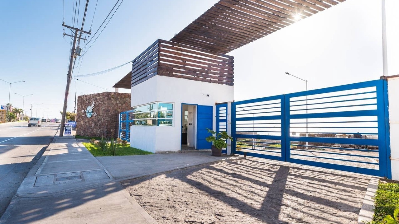 Photo of Others in La Paloma