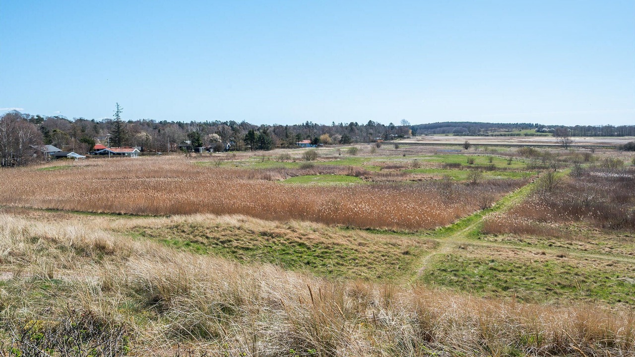 Photo of Others in Dronningmolle