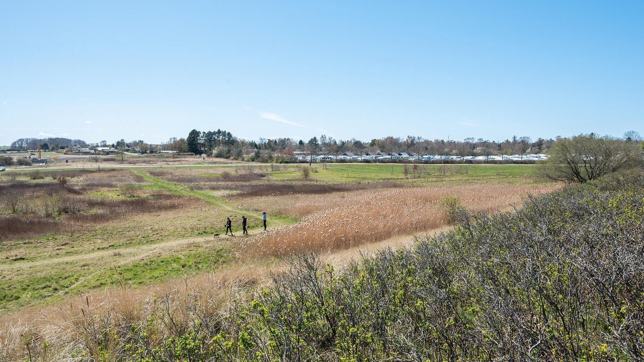 Photo of Others in Dronningmolle