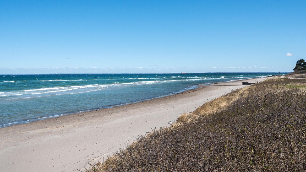 Photo of Others in Dronningmolle