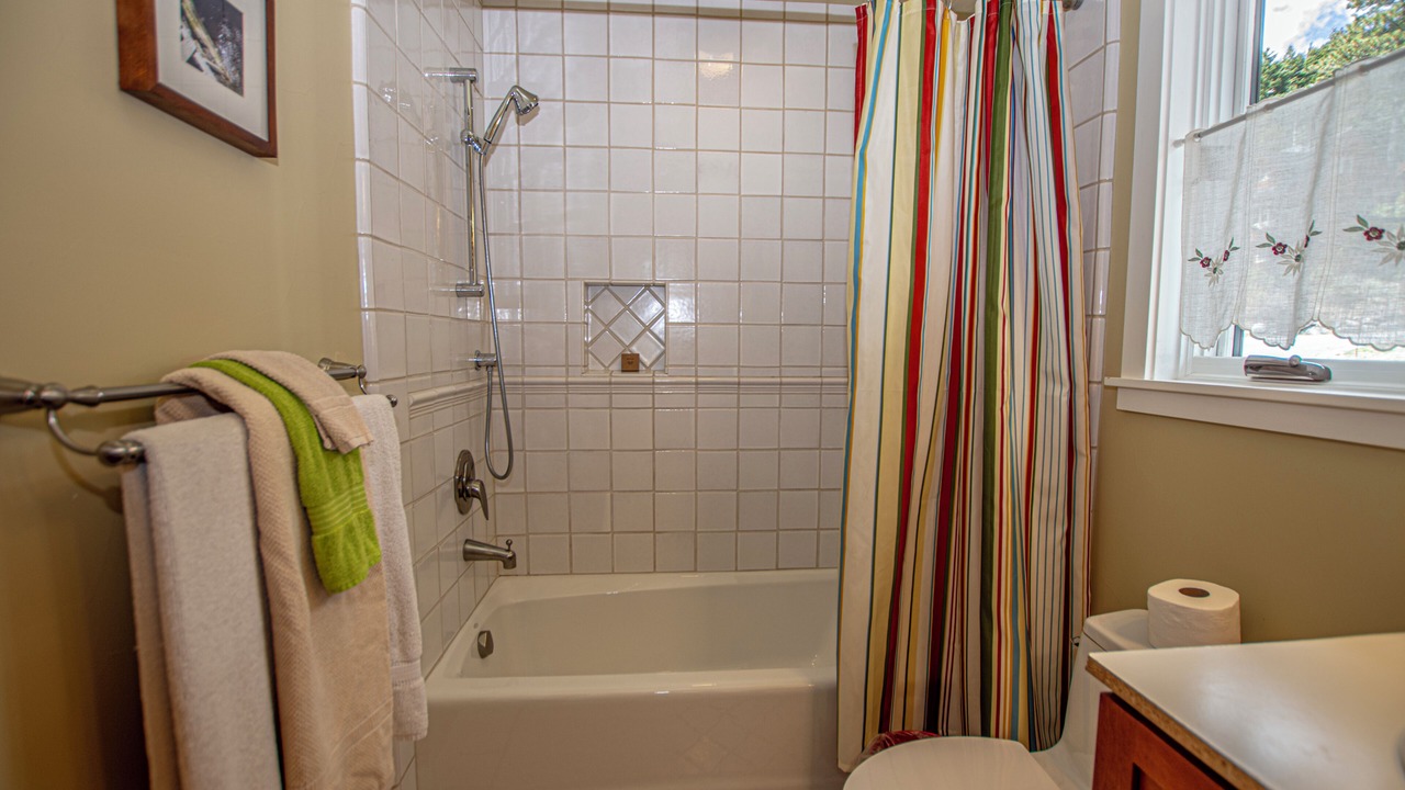 Photo of Bathroom in Twin Peaks