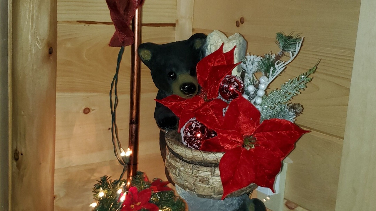 Photo of Others in Sevierville