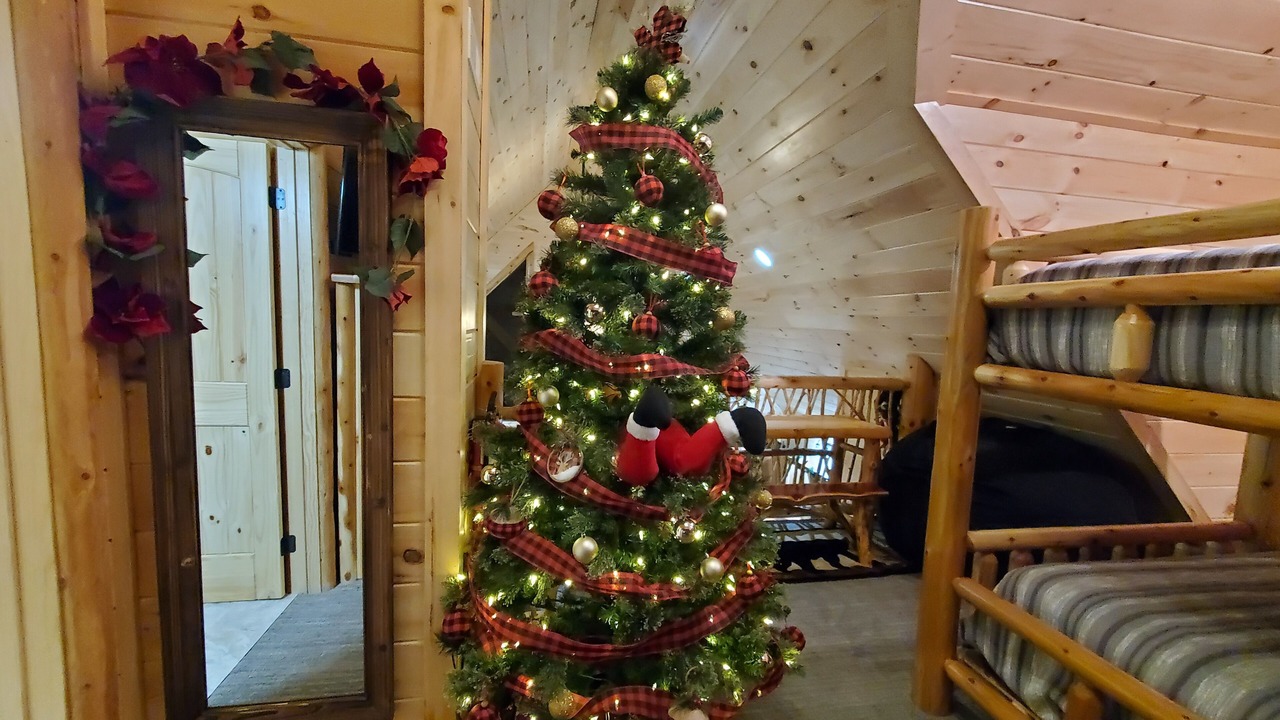 Photo of Bedroom in Sevierville