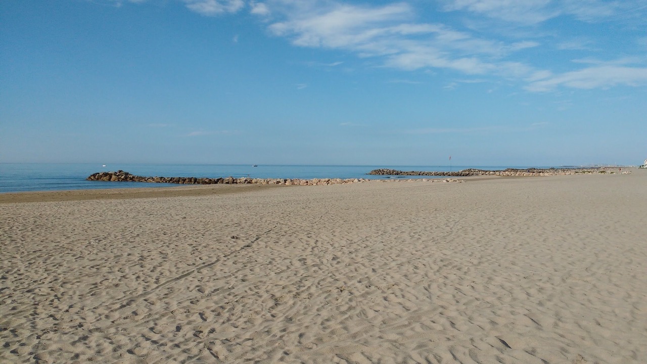 Photo of Others in Palavas-les-Flots