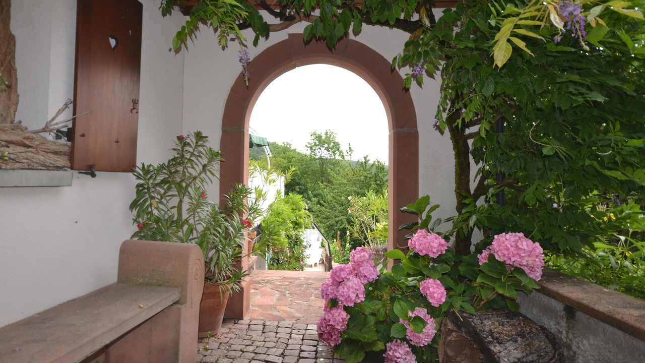 Photo of Outdoor in Rimbachzell