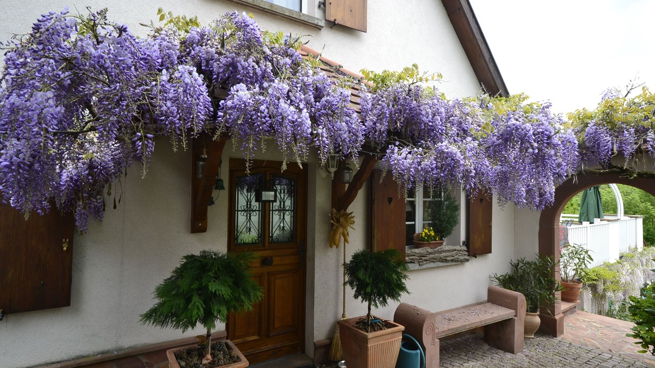 Photo of Outdoor in Rimbachzell