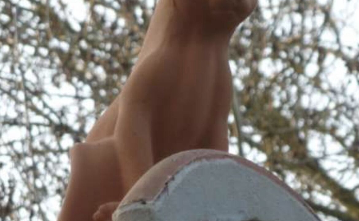 Photo of Others in Rimbachzell