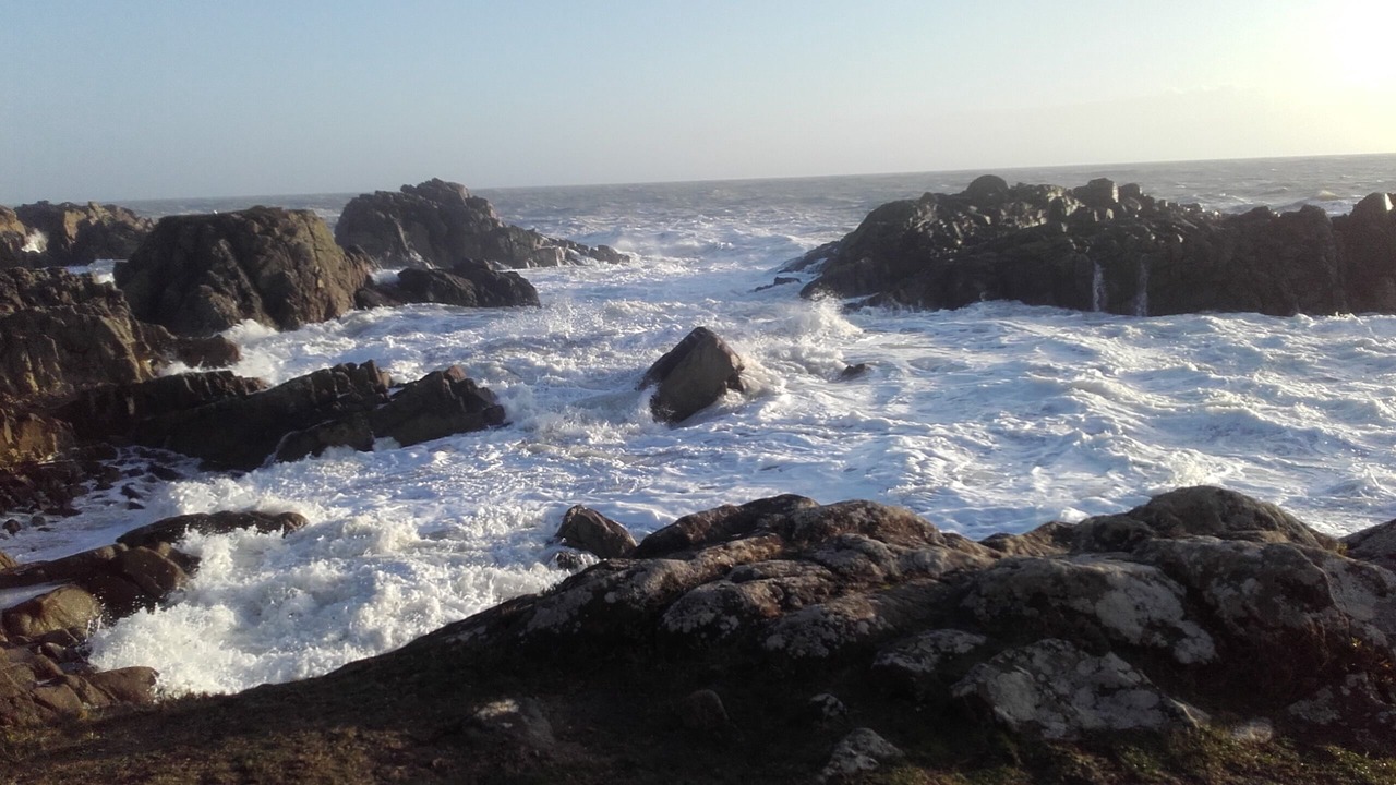 Photo of Others in Batz-sur-Mer